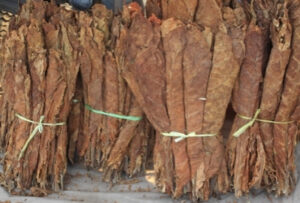 сушеные листья табака