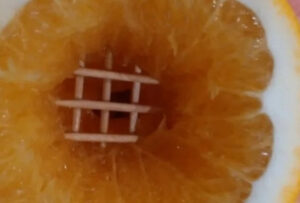 решетка из зубочисток в апельсине